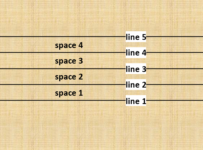 Stave with space and line indication
