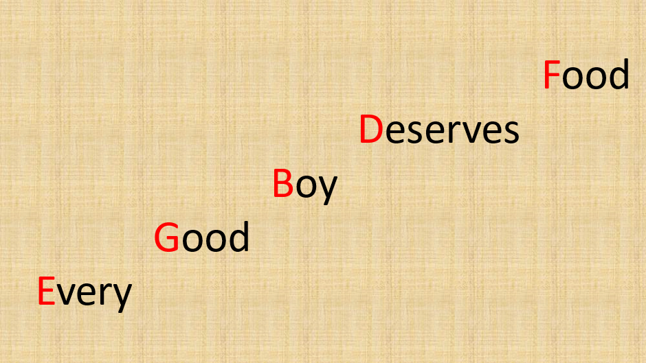 Every Good Boy Deserves Food