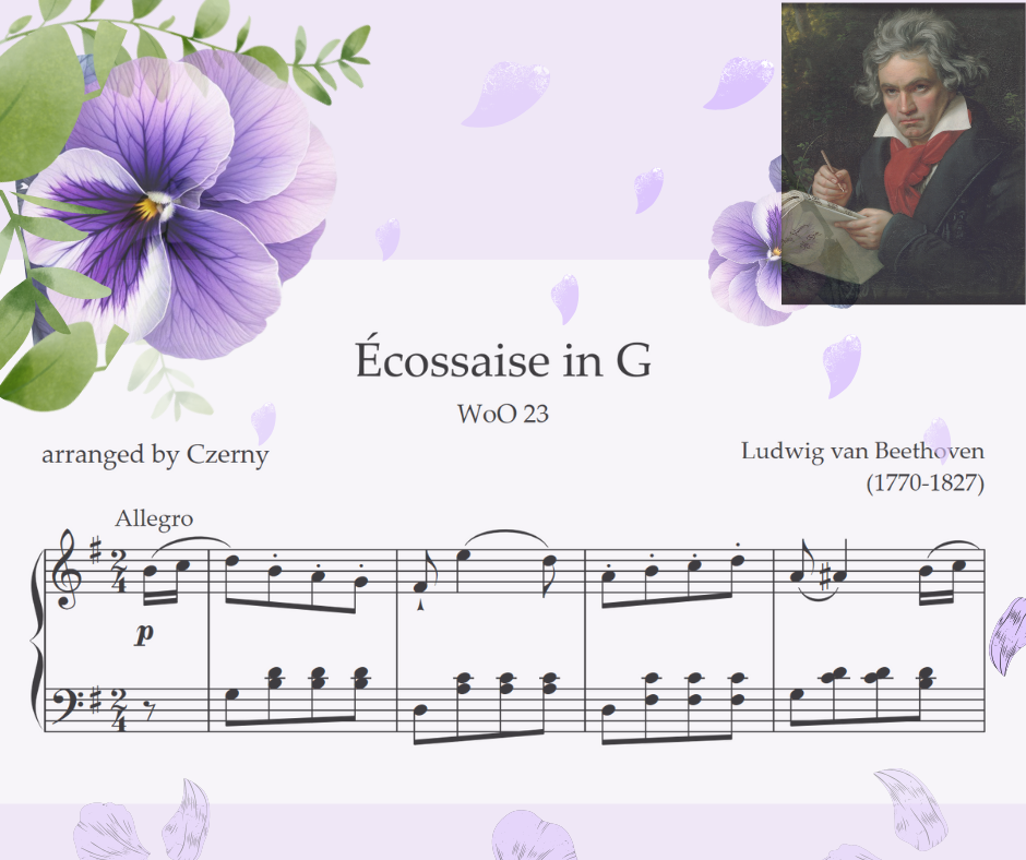 Grade 2 Piano - Ecossaise in G Music Score with Viola Odorata Beethoven flower and Beethoven Portrait with spreading purple petals and purple background